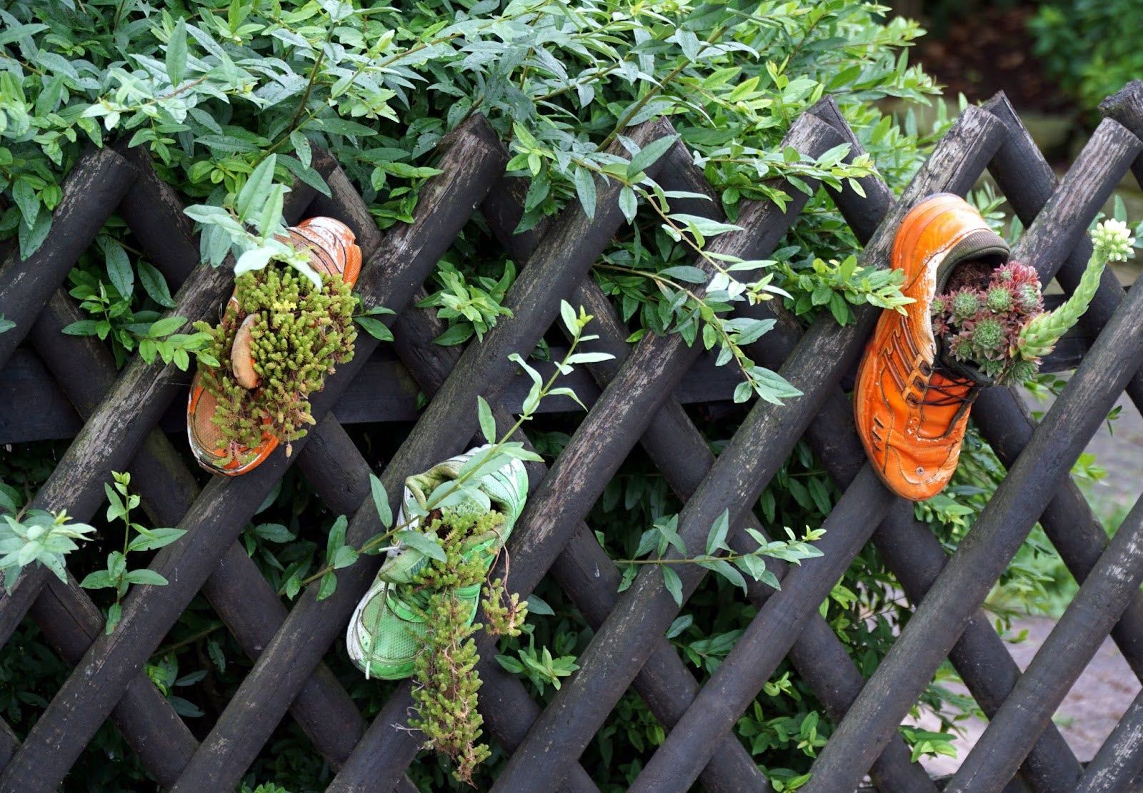 Worn-out sneakers upcycled into flower pots